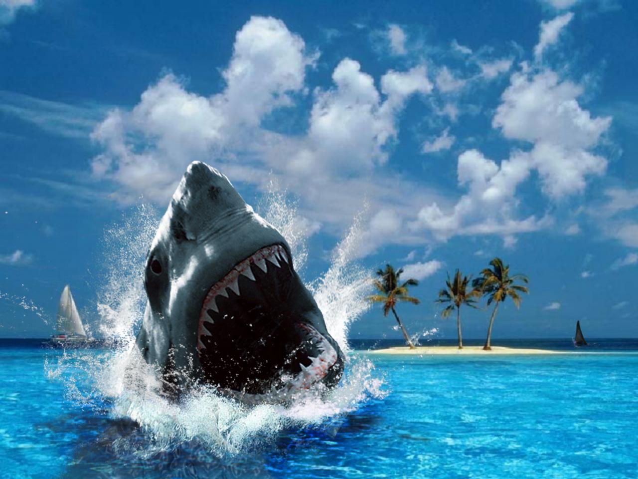 челюсть акулы, акула выпрыгивает из воды, фото, скачать бесплатно