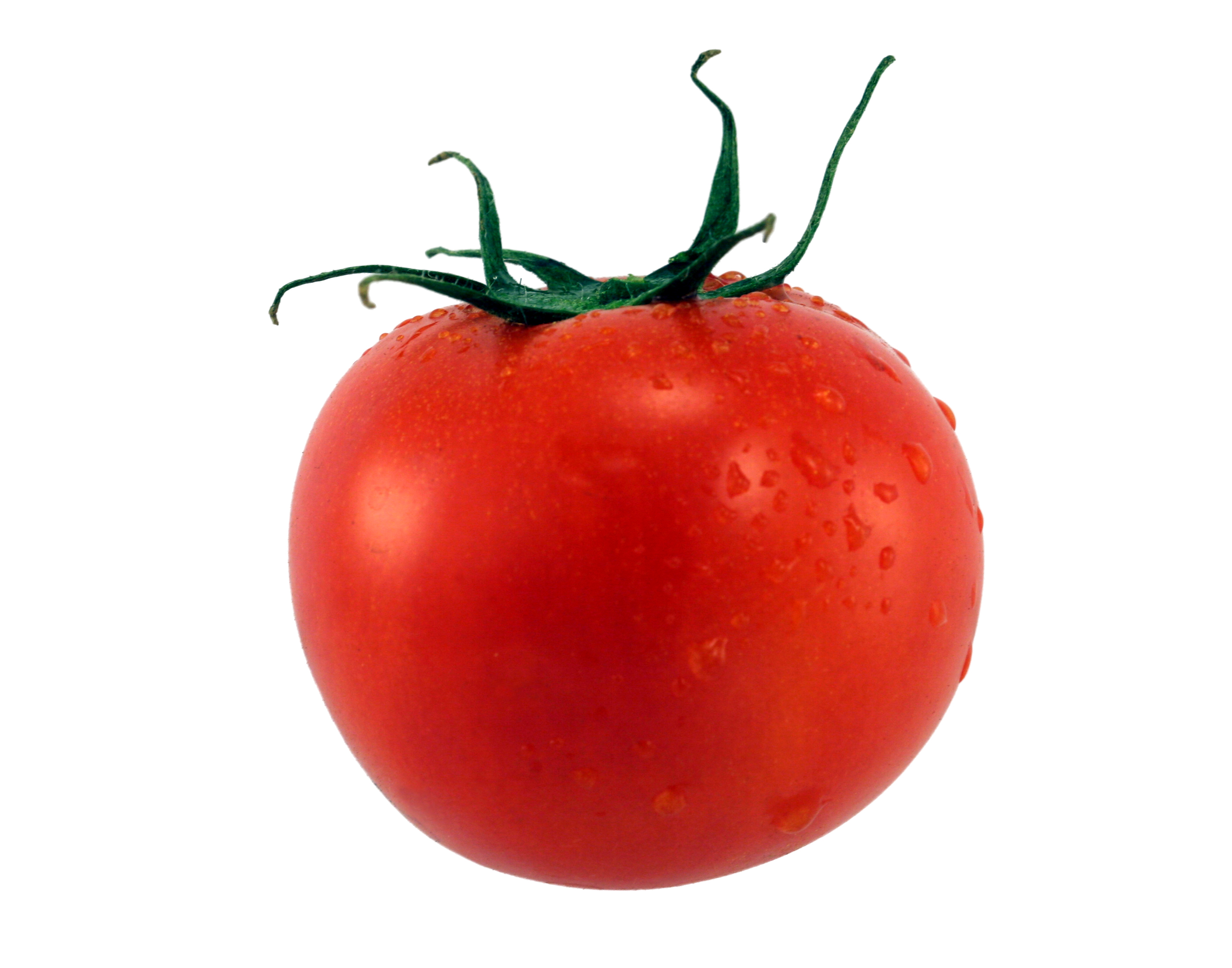 Картинка овощей по отдельности. Помидоры Королевич. Красный помидор.